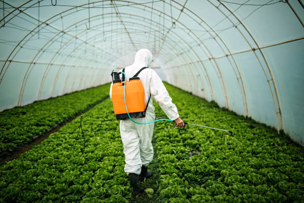 Best Best Pest Control Companies  in Tequesta, FL
