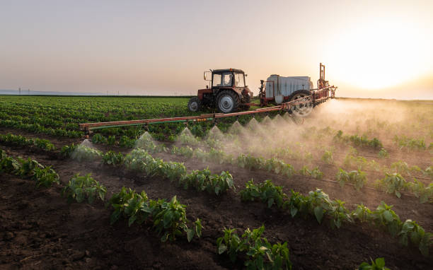 Best Commercial Pest Control Services  in Tequesta, FL