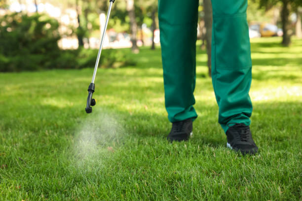 Best Pest Prevention Services  in Tequesta, FL