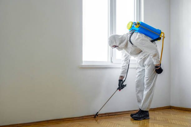 Best Best Pest Control Companies  in Tequesta, FL