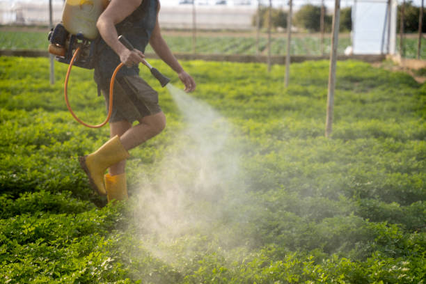Best Affordable Pest Control Services  in Tequesta, FL