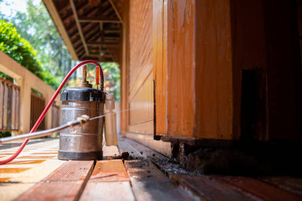 Best Pest Inspection Near Me  in Tequesta, FL