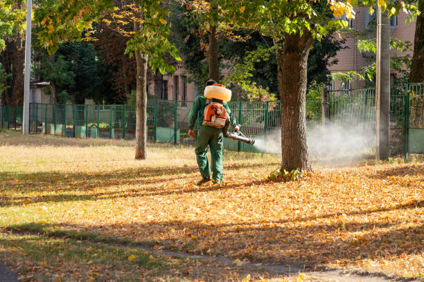 Best Affordable Pest Control Services  in Tequesta, FL