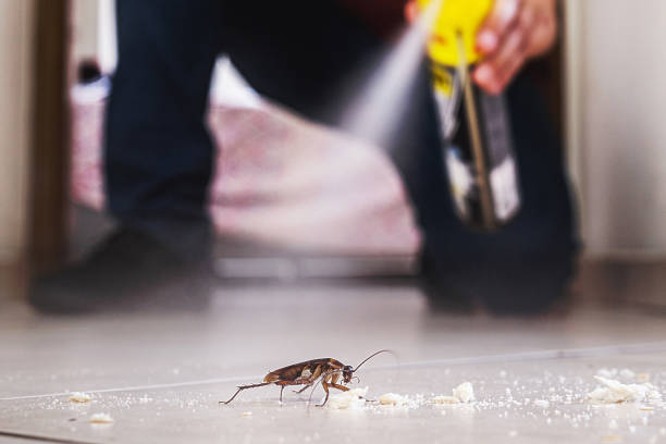 Best Cockroach Control Services  in Tequesta, FL