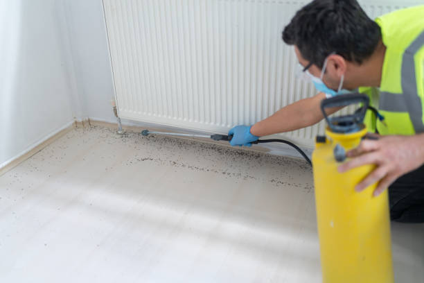 Best Mosquito Control Services  in Tequesta, FL
