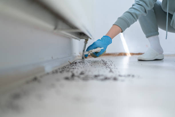 Best Termite Control Services  in Tequesta, FL