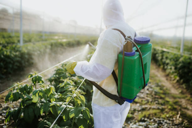 Reliable Tequesta, FL Pest Control Solutions